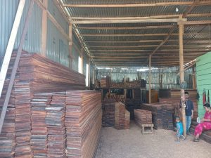 Perdagangan Kayu di Kabupaten Deiyai , Papua Tengah diduga Tidak Memiliki Izin, Diharapkan Pihak Berwenang Segera Turun