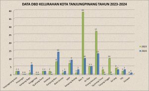 Kasus DBD Meningkat, Ini Kata Kadinkes Tanjungpinang