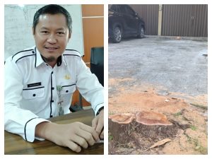 Sekda Tanjungpinang: Penebangan Pohon Sehat Meresahkan, Perlu Kebijakan Bijak dan Transparan