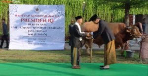 Presiden Jokowi Serahkan Sapi Kurban 1,25 Ton di Semarang pada Idul Adha 1445 H