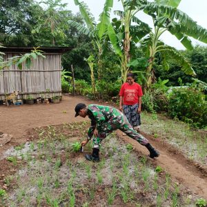 Satgas Yonkav 6/Naga Karimata Meningkatkan Konservasi Lingkungan Dengan Cara Membantu Petani Lokal
