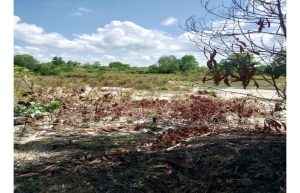 Diduga Razia Bocor, Pelaku Tambang Pasir Ilegal di Bintan Lolos Tanpa Penindakan