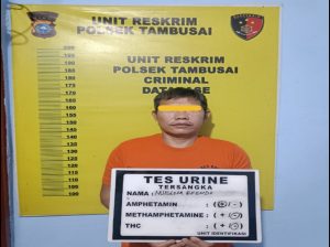 DPO Kasus Pencurian Sapi Berhasil Ditangkap Polsek Tambusai: Kerugian Rp24 Juta Diungkap