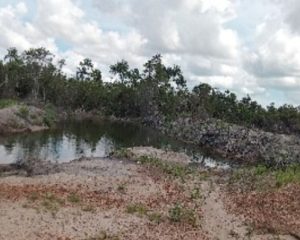 Tambang Pasir Ilegal di Bintan, Rasyid: Dugaan ‘Restu’ Pihak Tertentu
