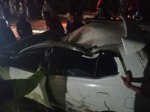 Mobil Tertimpa Pohon di Km 11, Ibu dan Anak Selamat Tanpa Cedera