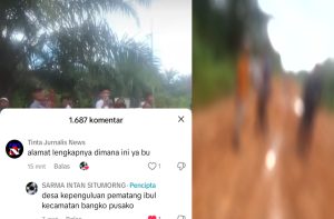 Viral! Video TikTok @Sarmaintan Situmorang Minta Tolong, Tokoh Kepri Desak Aparat Bertindak!