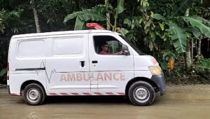 Pembacokan Sadis di Sisobandrao Nias Barat, Korban A.YR Meninggal Dunia