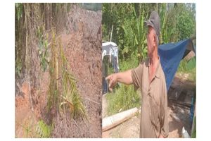 Warga Keluhkan Serius Proyek Pengendalian Banjir di Jl. Sri Katon Km 12, Humas: Kerusakan Tanaman Menunggu Keputusan DPAD