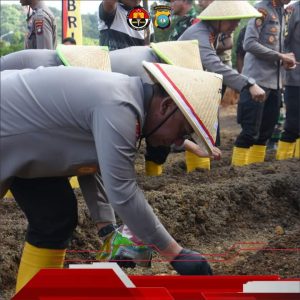 Penanaman Jagung Simbolis dalam Rangka Mendukung Ketahanan Pangan dan Program Asta Cita Presiden RI