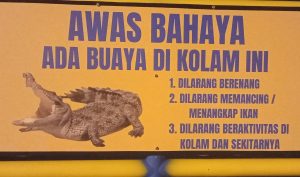 Kolam Pengendalian Banjir di Tanjungpinang Timur Jadi Sarang Buaya