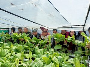 Inovasi Pertanian Hidroponik di Rutan Kelas I Tanjungpinang: Meningkatkan Produktivitas dan Kemandirian Warga Binaan