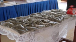 Prajurit Yonmarhanlan X Gagalkan Penyelundupan Ganja di Pelabuhan Port Numbay Jayapura