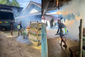 Warga Aisa Sambut Gembira Fogging Bersama Satgas Yonif 501/Bajra Yudha Kostrad