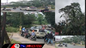 Antisipasi Bahaya, Dinas Perkim Tanjungpinang Pangkas Pohon Rawan di KM 12