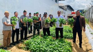 Rutan Kelas I Tanjungpinang Panen 150 Kg Kangkung dalam Program Pemberdayaan Warga Binaan