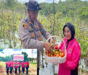 Polsek Tanjungpinang Kota Sulap Lahan Kosong Jadi Kebun Pangan Lestari