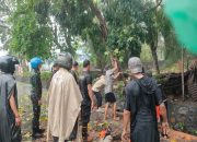 Hujan dan Angin Kencang, Pohon Tumbang di Km 2 Tanjungpinang Petugas Sigap Evakuasi
