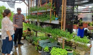 Polsek Sekupang Dukung Ketahanan Pangan, Ubah Lahan Tidur Jadi Sumber Pangan