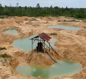 Info Terbaru! Diduga Tambang Timah Ilegal di Bintan Kembali Beroperasi secara Sembunyi-Sembunyi