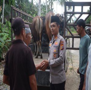 Polres Rokan Hulu Salurkan 15 Ekor Hewan Qurban ke Masjid dan Warga