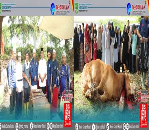 Bupati dan Wabup Rohul Serahkan Hewan Kurban Bantuan Presiden RI di Hari Raya Idul Adha 1446 H
