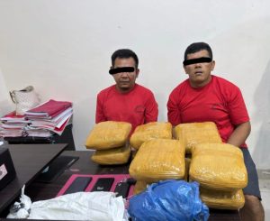 Satresnarkoba Polres Rohul Ciduk Dua Pria Pembawa 10,3 Kg Ganja Kering dari Madina, 1 Unit Mobil Disita