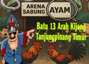 Arena Judi Sabung Ayam di Batu 13 Tanjungpinang Timur Masih Bebas Beroperasi, Aparat Jangan Tutup Mata: SIKAT!