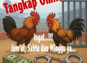 Judi Sabung Ayam di Batu 13 Arah Kijang yang Diduga Dibekingi Oknum Loreng, Netizen Malah Tanya: “Merugikan Negara Apa?”