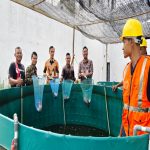 Panen Ikan Nila Hasilkan 30 Kg, KKT Perkebunan dan Perikanan Lapas Batam Buktikan Ketahanan Pangan dari Balik Jeruji Tinta Jurnalis News