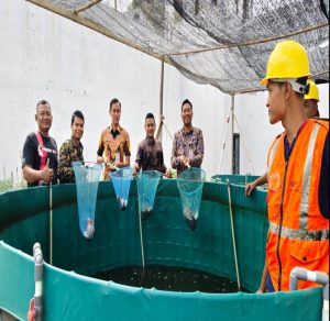 Panen Ikan Nila Hasilkan 30 Kg, KKT Perkebunan dan Perikanan Lapas Batam Buktikan Ketahanan Pangan dari Balik Jeruji