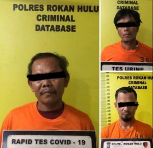 Karhutla di Rokan Hulu Makin Mengancam, 3 Pelaku Pembakaran Lahan Ditangkap Polisi