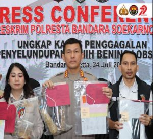 710 Ribu Benih Lobster Ilegal Tujuan Batam dan Tanjungpinang Digagalkan! 7 DPO Masih Bebas