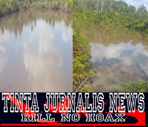 Aktivitas di Tanjungkapur Bintan Dituding Tambang Ilegal, Pemilik Lahan Klarifikasi: Itu Pengerukan Kolam Lama yang Tertimbun Lumpur