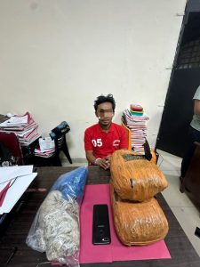 Polres Rokan Hulu Bekuk Pengedar Ganja Kering 1 Kg di Pinggir Jalan Desa Suka Maju