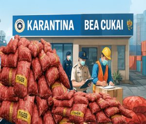 Daging & Bawang Masuk Tanpa Dokumen Lewat Pelabuhan Tikus Tanjung Uban Bintan, Karantina & Bea Cukai Diam Seribu Bahasa