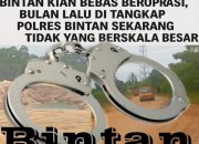 Kapolri Listyo Diminta Segera Turun Tangan: Tambang Pasir Ilegal Kian Bebas Beroperasi, Bulan Lalu Ditindak Polres Bintan, Kini Justru yang Berskala Besar Tak Tersentuh   