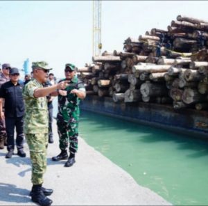 Kasum TNI Tinjau Keberhasilan Satgas PKH Amankan Ribuan Kubik Kayu Ilegal, Kerugian Negara Capai Rp239 Miliar
