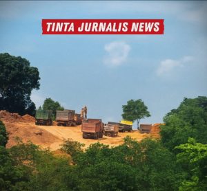 Operasi Sunyi di Nongsa: Bukit Digundul Diduga Tanpa Izin, Oknum Kuat Disebut di Balik Layar