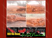 Pembalakan Kayu Ilegal di Desa Resang Diduga Terkoordinir, Muncul Indikasi Setoran Bulanan dan Pungli