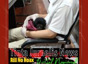 Polisi Bongkar Perdagangan Owa Siamang di Pekanbaru, Satu Pelaku Diamankan