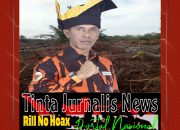 Sagu Terancam Diganti Sawit? Ketua MPC Pemuda Pancasila Lingga Angkat Suara, Dorong Masuk Perda LP2B!