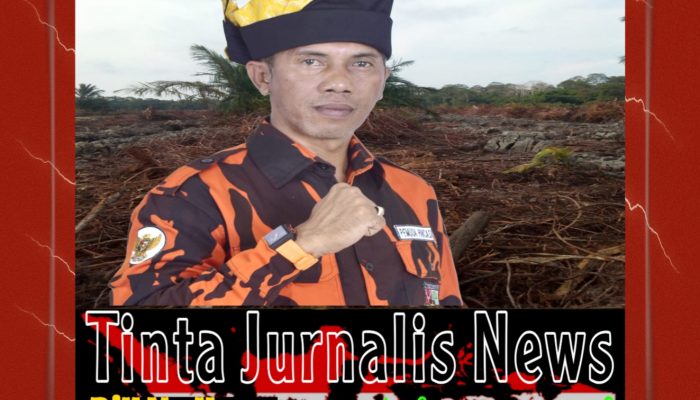 Sagu Terancam Diganti Sawit? Ketua MPC Pemuda Pancasila Lingga Angkat Suara, Dorong Masuk Perda LP2B!