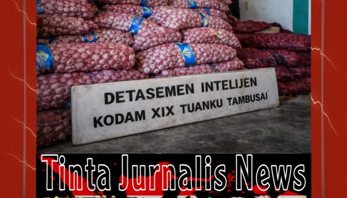 WAOWWW! 48 Ton Bawang Ilegal Disikat dari Kapal Tanjungpinang—Pemilik Misterius, Siapa yang Bermain di Balik Layar?