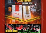 KPK Mulai Panggil Pengusaha, Rokok Ilegal PSG di Kepri Disorot: Siapa yang Selama Ini Bermain di Balik Layar?
