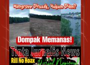 Rasyid Bintan Sorot Keras Penimbunan Mangrove Dompak: “Masih NKRI, Hukum Harus Berlaku!”