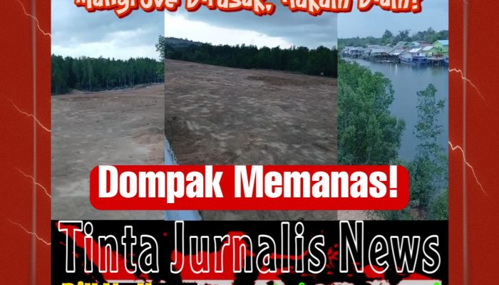 Rasyid Bintan Sorot Keras Penimbunan Mangrove Dompak: “Masih NKRI, Hukum Harus Berlaku!”