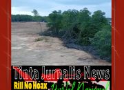Penimbunan Mangrove Dompak Disorot, Lurah Sebut Aktivitas Sudah Diingatkan Sejak Awal