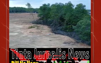 Penimbunan Mangrove Dompak Disorot, Lurah Sebut Aktivitas Sudah Diingatkan Sejak Awal