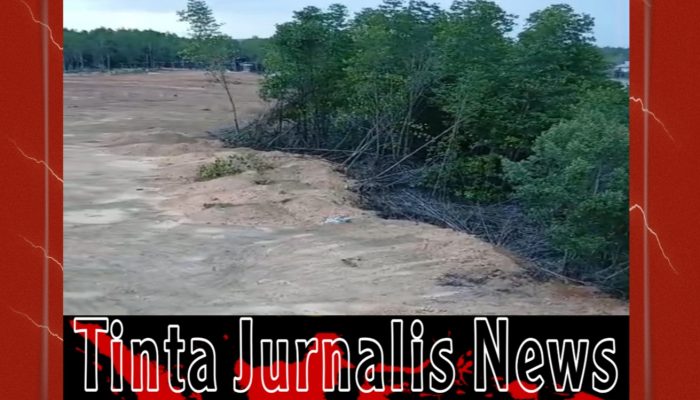 Penimbunan Mangrove Dompak Disorot, Lurah Sebut Aktivitas Sudah Diingatkan Sejak Awal