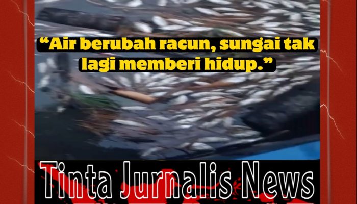Limbah PKS PT Era Sawita Diduga Cemari Sungai Muara Kuku Lagi, Ribuan Biota Mati Warga Desak Penindakan Tegas DLH Rohul